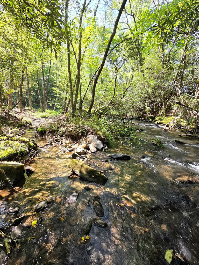 795 Porterfield Gap Road Property Photo 13