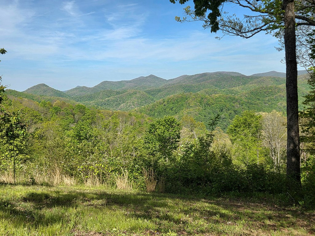 795 Porterfield Gap Road Property Photo 28