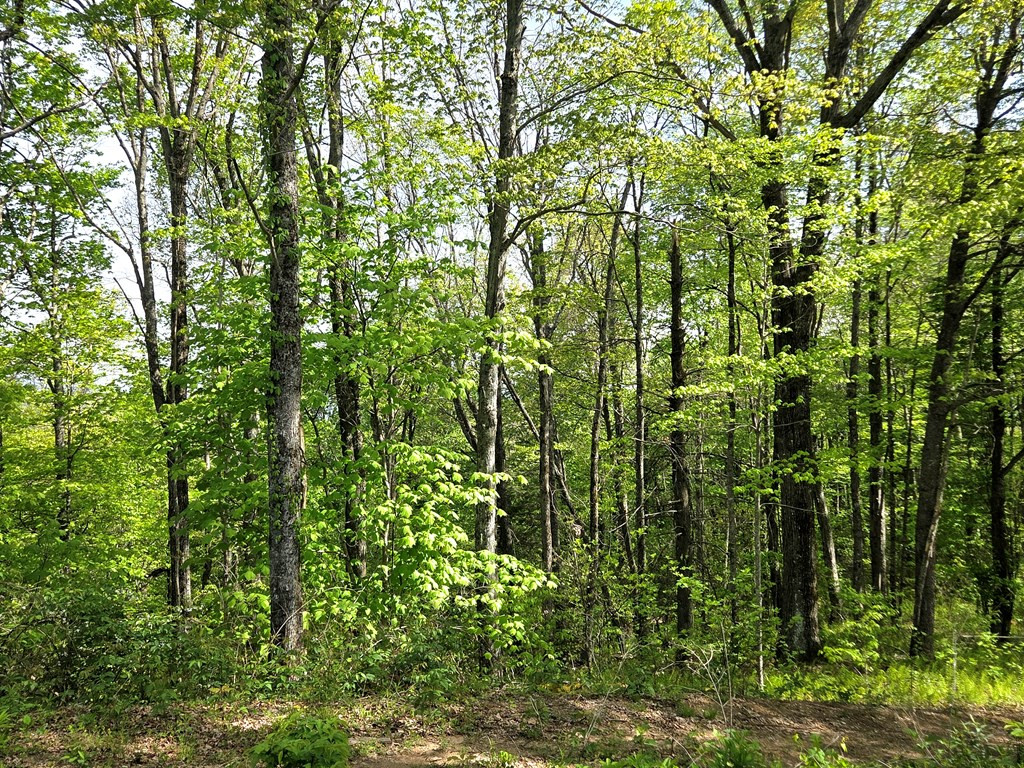 795 Porterfield Gap Road Property Photo 29