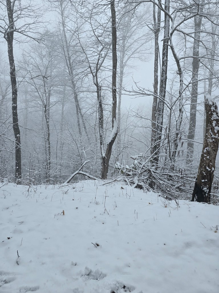 795 Porterfield Gap Road Property Photo 31