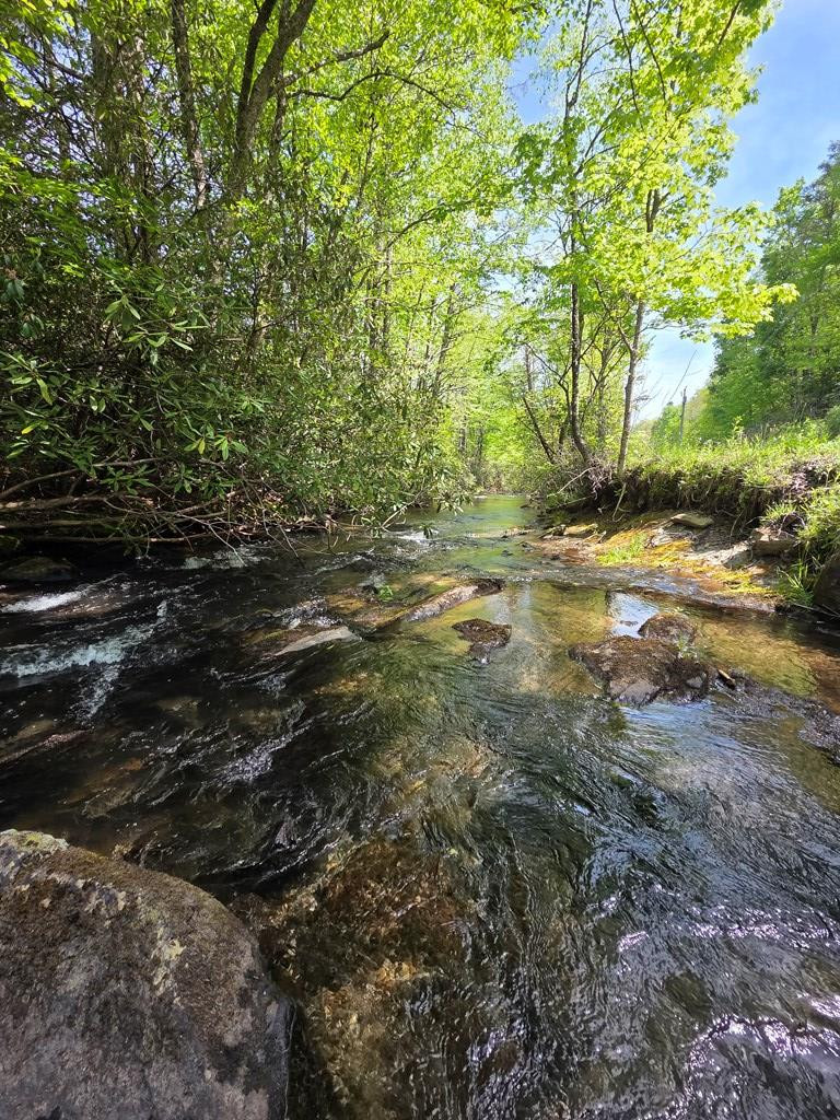 795 Porterfield Gap Road Property Photo 36