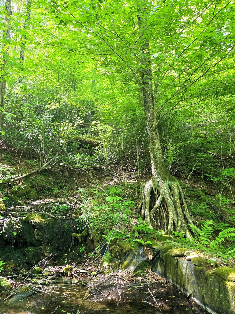 795 Porterfield Gap Road Property Photo 42