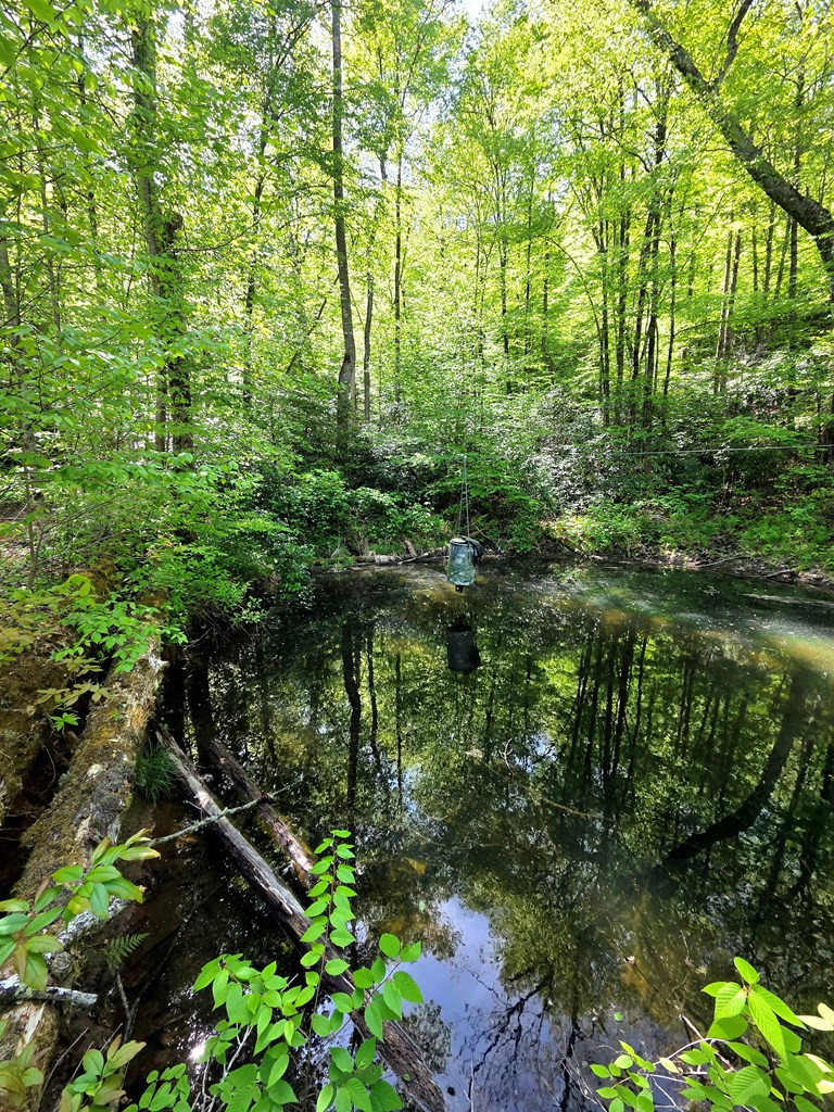 795 Porterfield Gap Road Property Photo 43