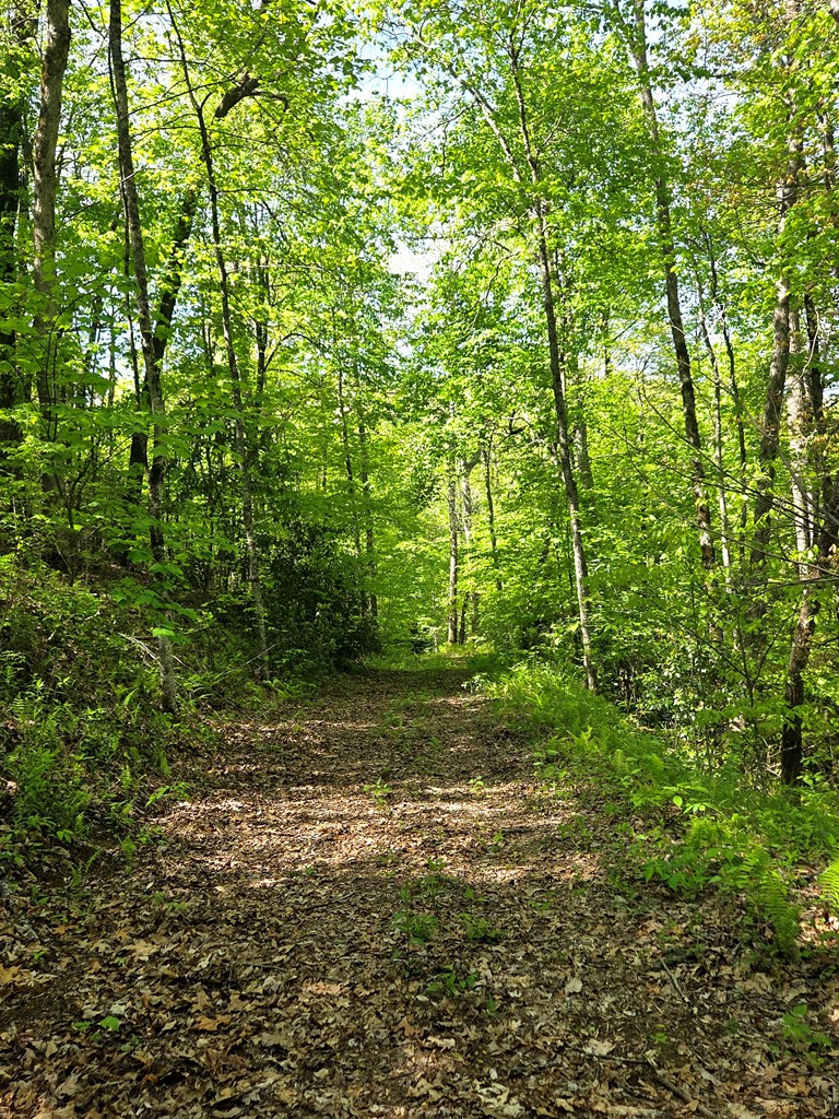 795 Porterfield Gap Road Property Photo 44