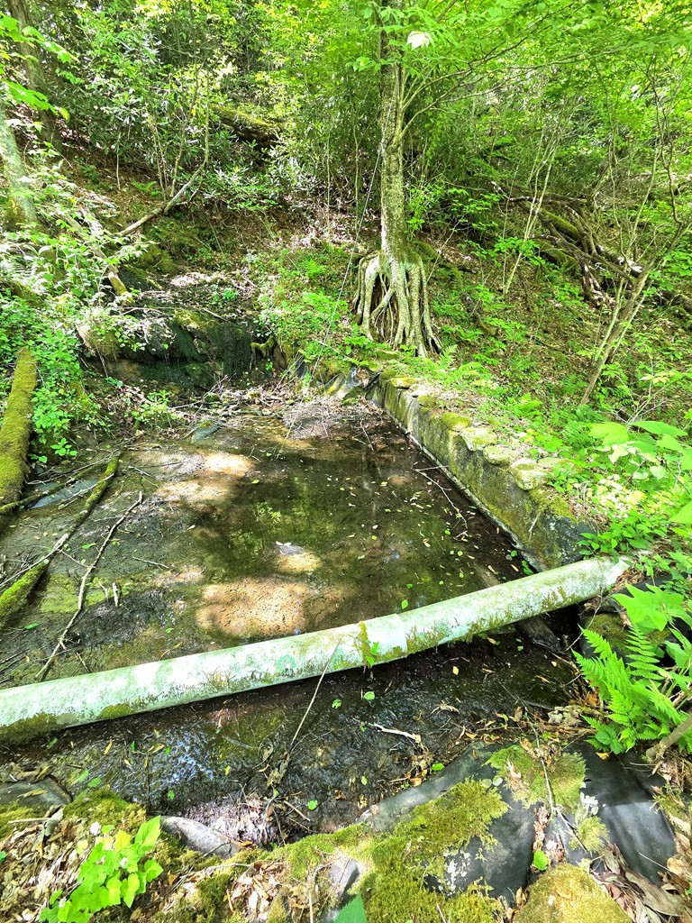 795 Porterfield Gap Road Property Photo 45
