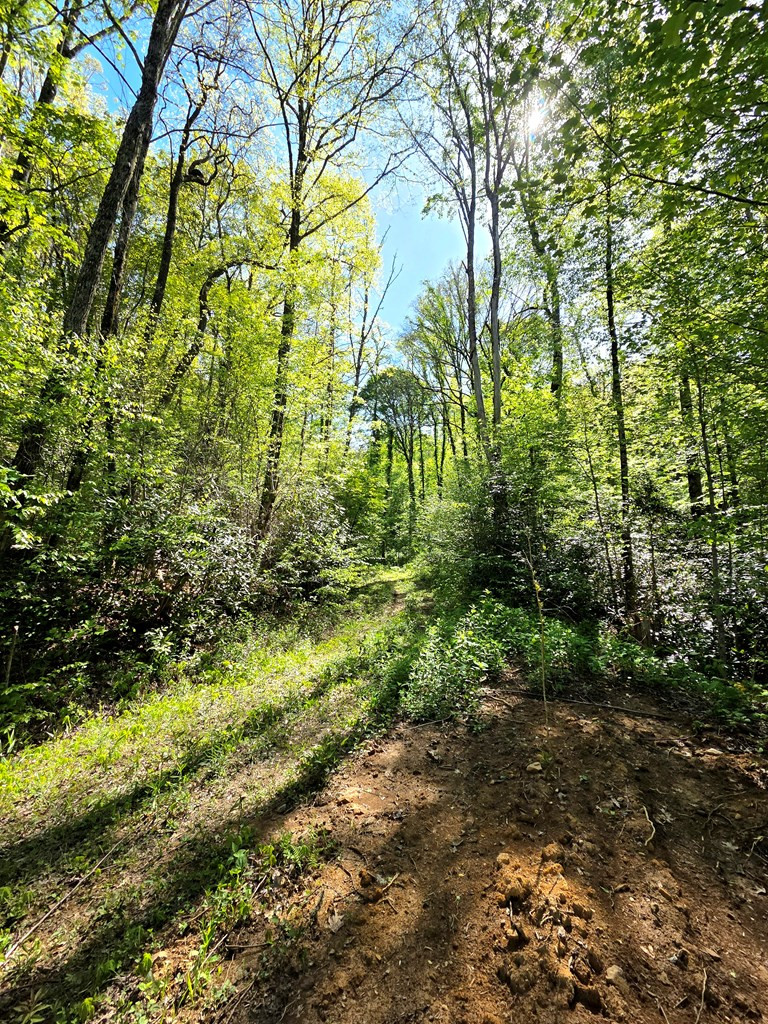 795 Porterfield Gap Road Property Photo 53