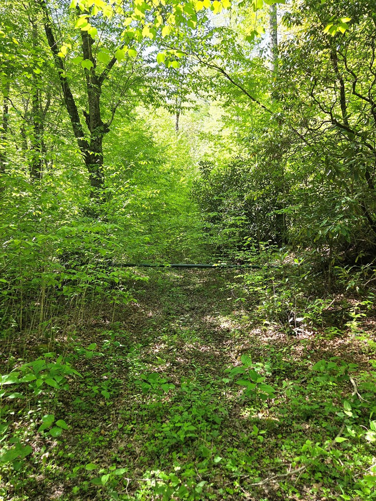 795 Porterfield Gap Road Property Photo 54