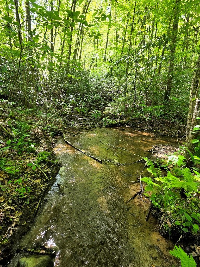795 Porterfield Gap Road Property Photo 55