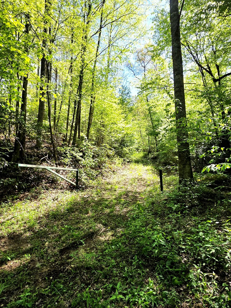 795 Porterfield Gap Road Property Photo 56