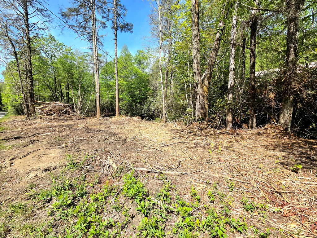 795 Porterfield Gap Road Property Photo 64
