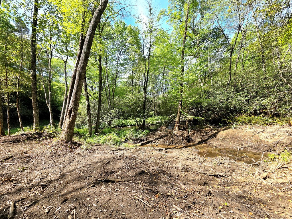 795 Porterfield Gap Road Property Photo 65