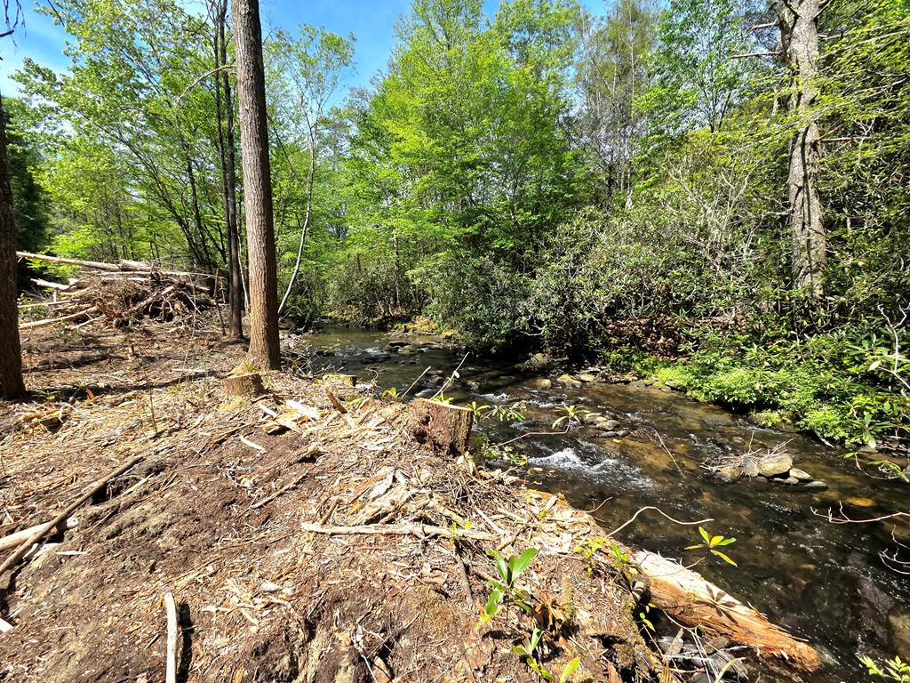 795 Porterfield Gap Road Property Photo 66