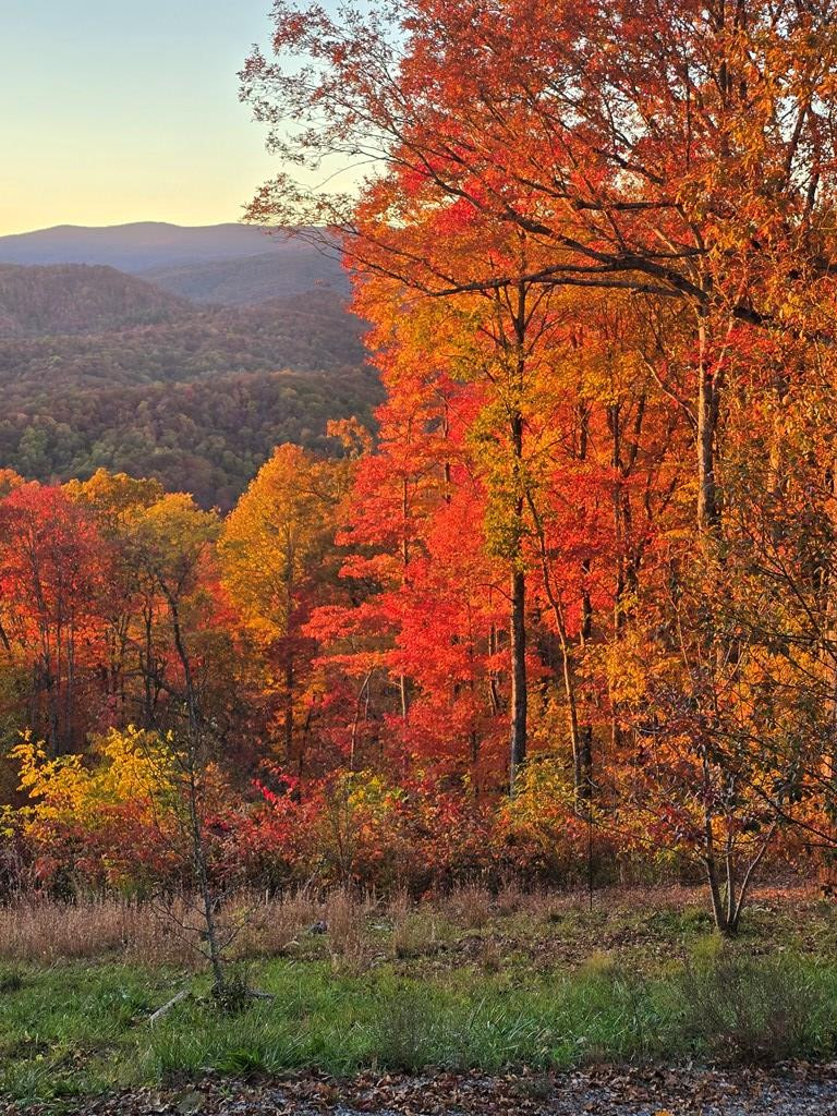 795 Porterfield Gap Road Property Photo 76
