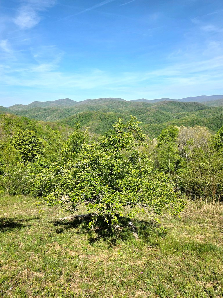 795 Porterfield Gap Road Property Photo 80
