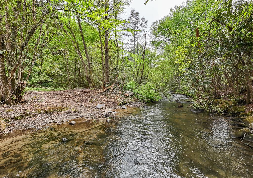 795 Porterfield Gap Road Property Photo 98