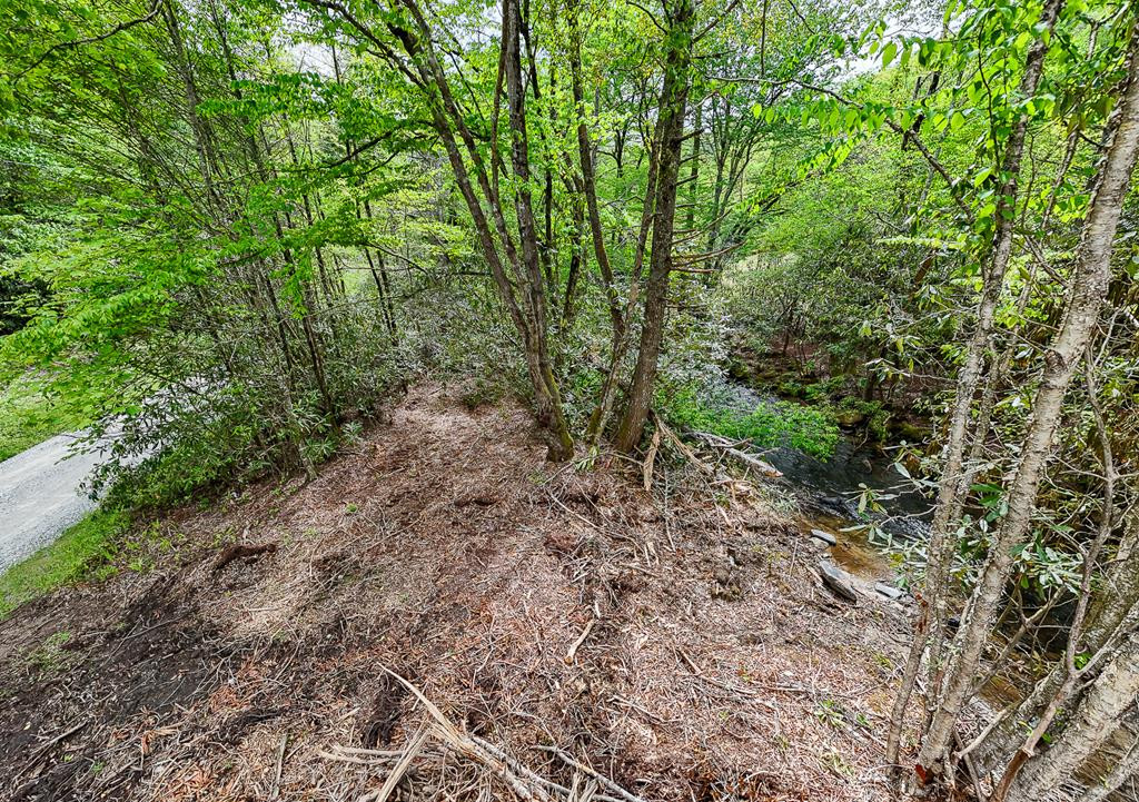 795 Porterfield Gap Road Property Photo 101