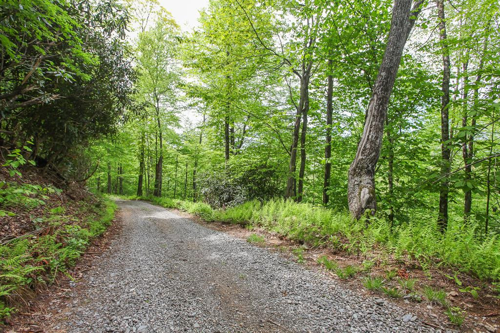 795 Porterfield Gap Road Property Photo 102
