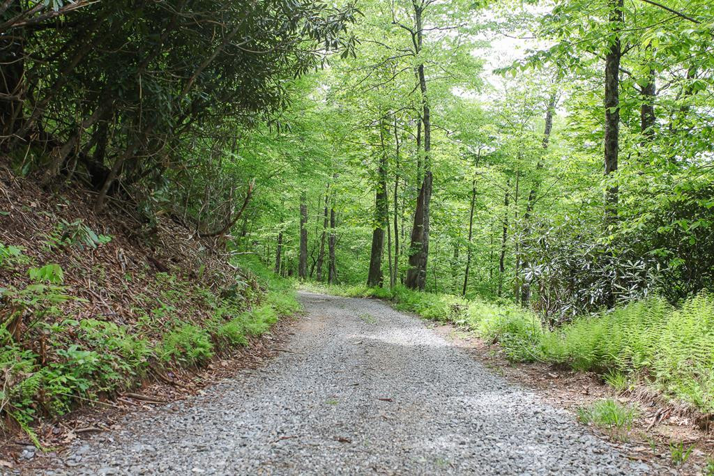 795 Porterfield Gap Road Property Photo 103