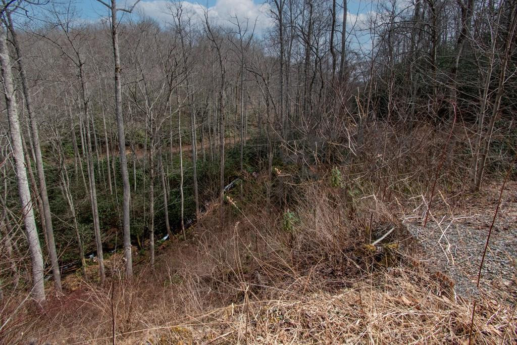 00 16 Walnut Cove Branch Property Photo 2