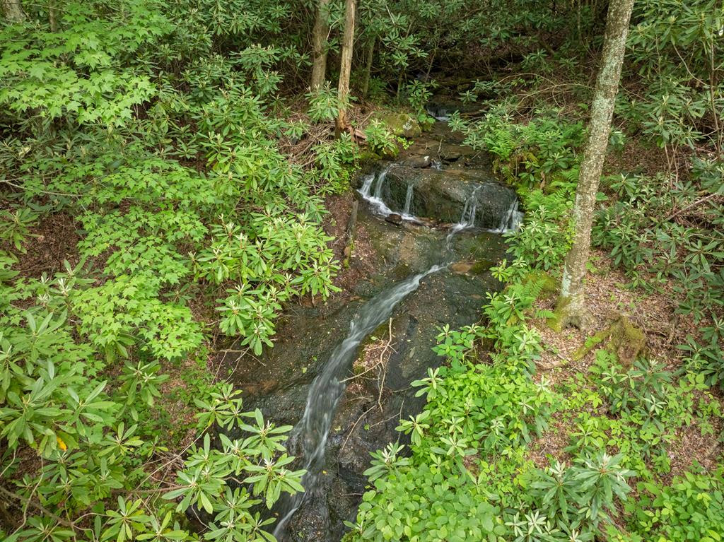 00 17 Walnut Cove Branch Property Photo 1