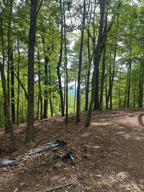 Lot 4 Hampton Knob