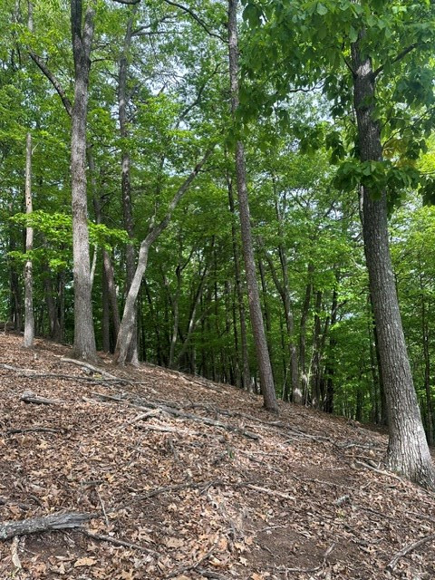 Lot 4 Hampton Knob Property Photo 2
