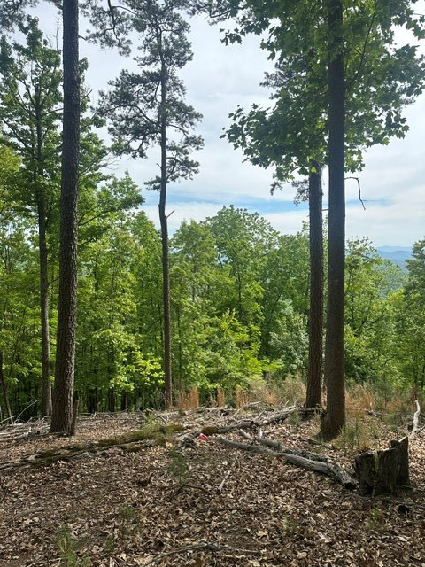 Lot 4 Hampton Knob Property Photo 3