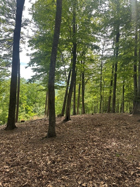 Lot 4 Hampton Knob Property Photo 4