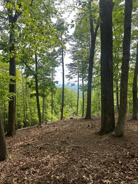 Lot 4 Hampton Knob Property Photo 5