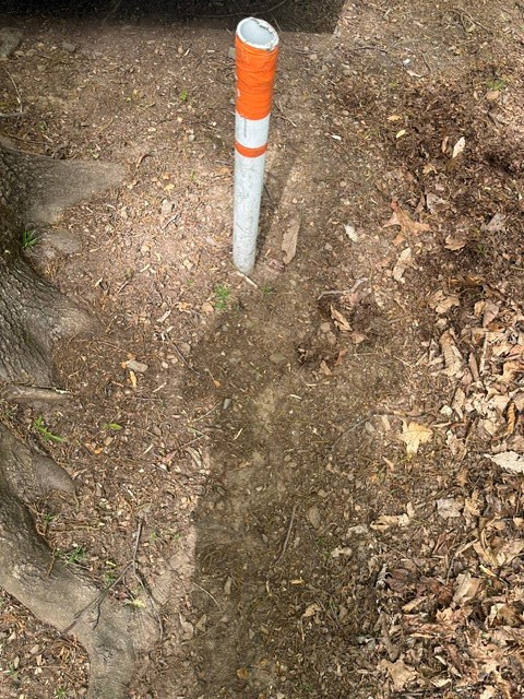 Lot 4 Hampton Knob Property Photo 6