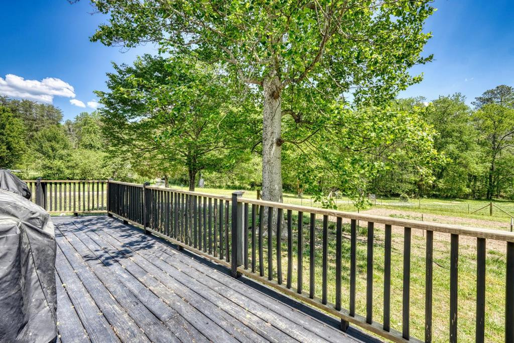 1059 Pleasant Hill Road Property Photo 14