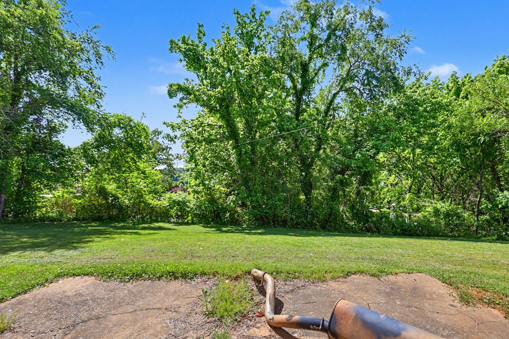 63 Fort Butler Street Property Photo 4