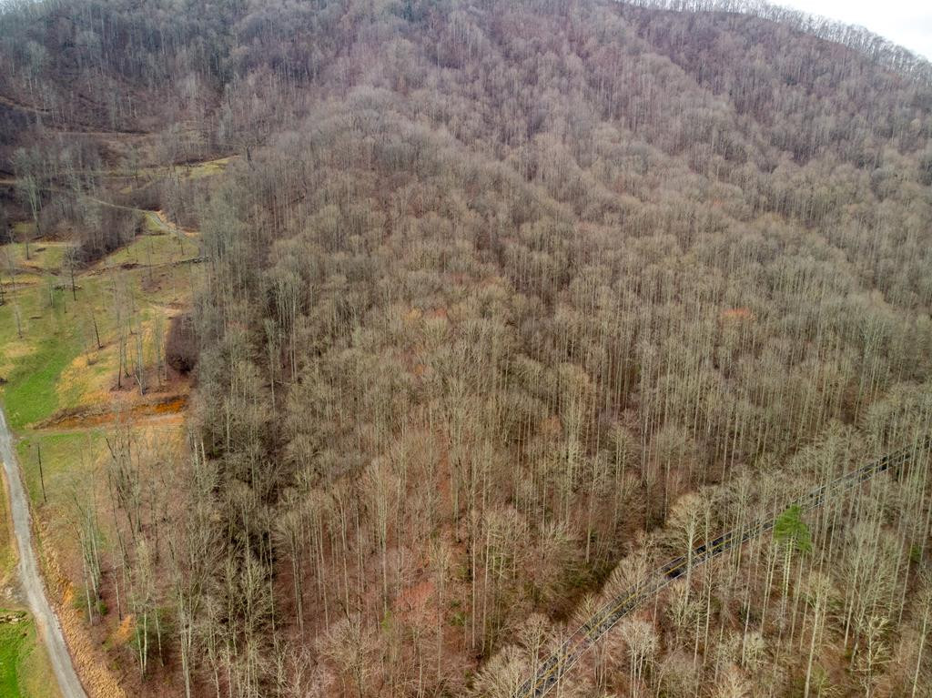 00 Upper Tuskeegee Road Property Photo 1