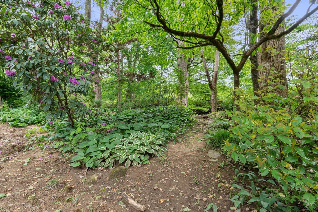 59 Tusquittee Creek Lane Property Photo 8