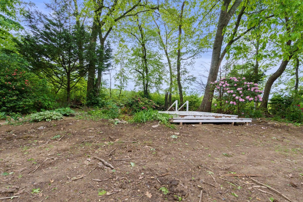 59 Tusquittee Creek Lane Property Photo 9