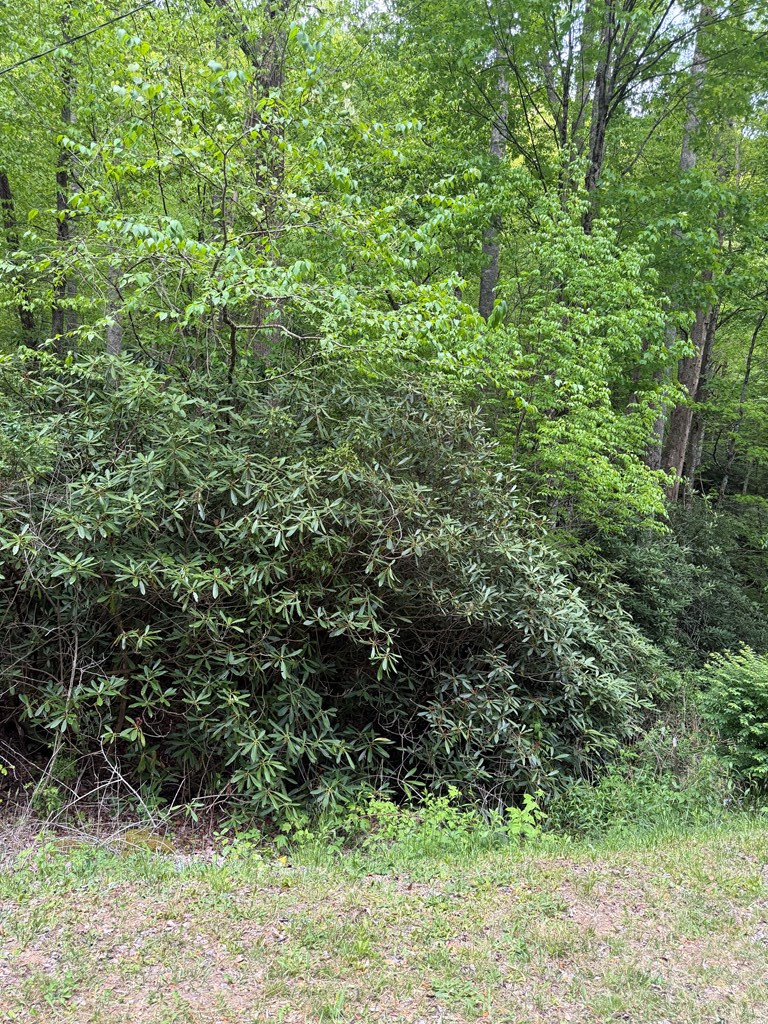 2 Lots Warrior Way Road Property Photo 2
