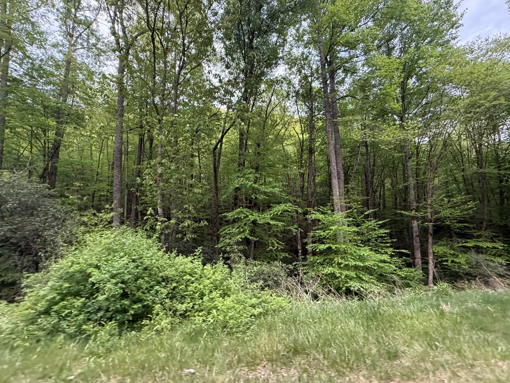 2 Lots Warrior Way Road Property Photo 3