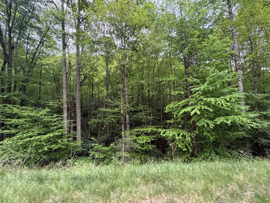 2 Lots Warrior Way Road Property Photo 4