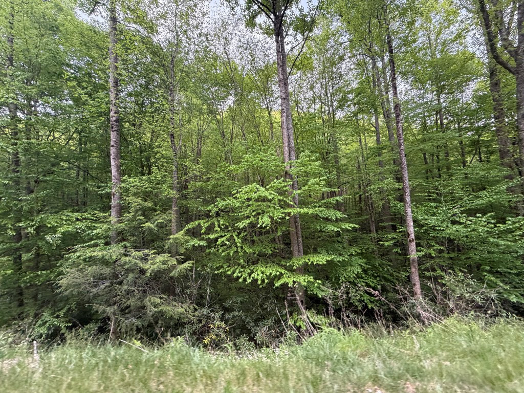 2 Lots Warrior Way Road Property Photo 5
