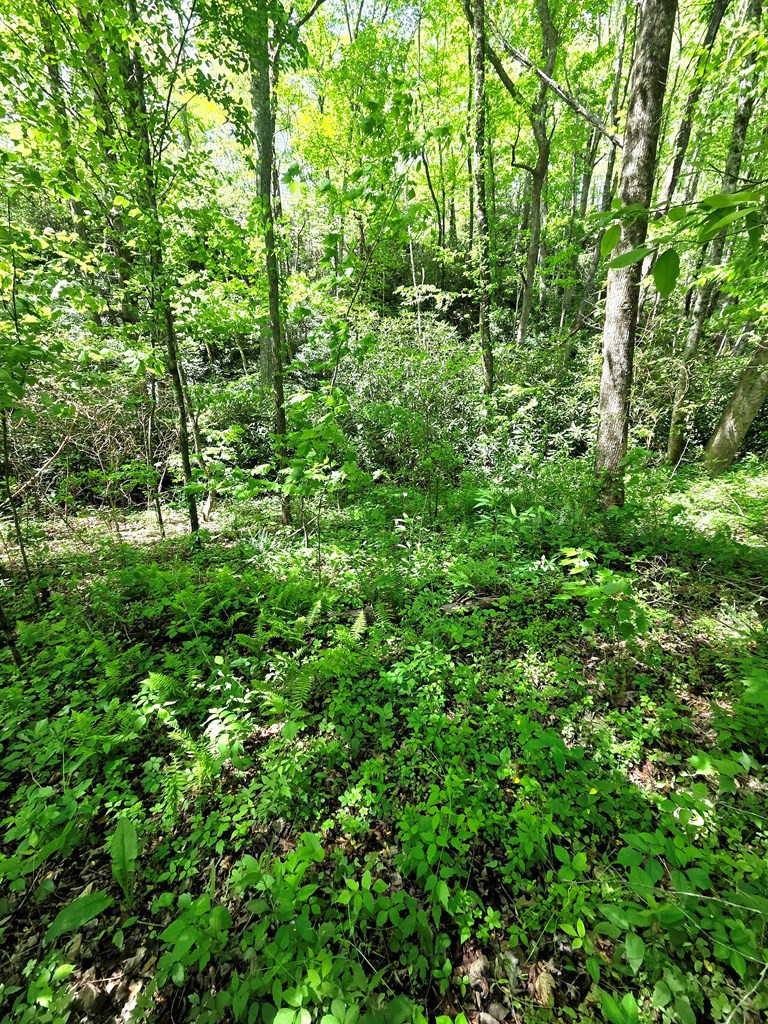 00 Vincent Colvin Road Property Photo 6