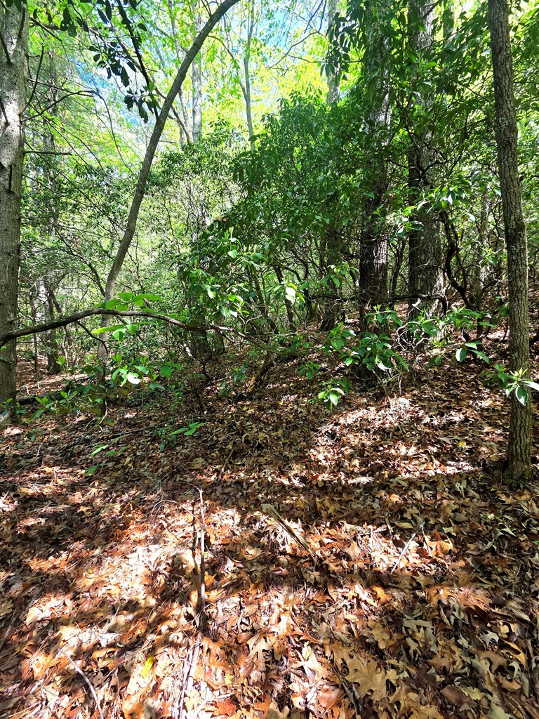 00 Vincent Colvin Road Property Photo 13