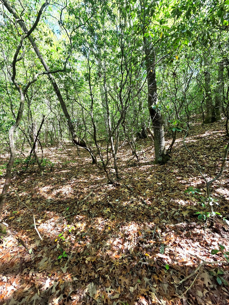 00 Vincent Colvin Road Property Photo 14