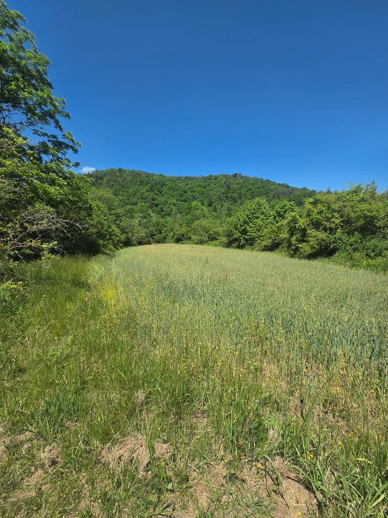 00 Vincent Colvin Road Property Photo 18