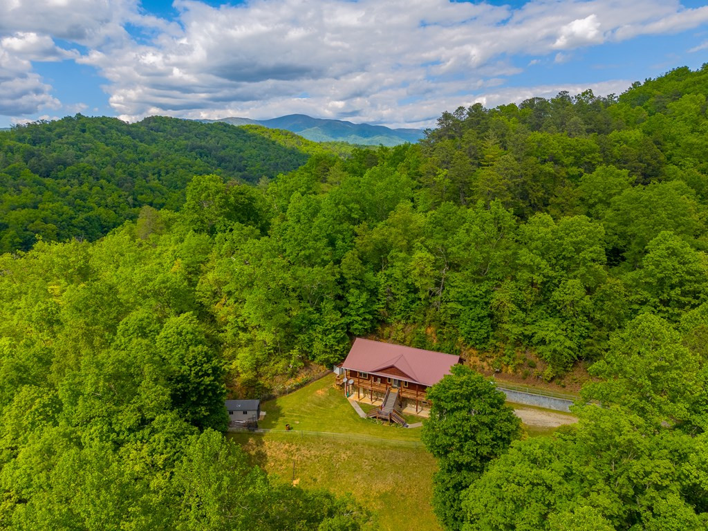 155 Mountain Laurel Road Property Photo 61