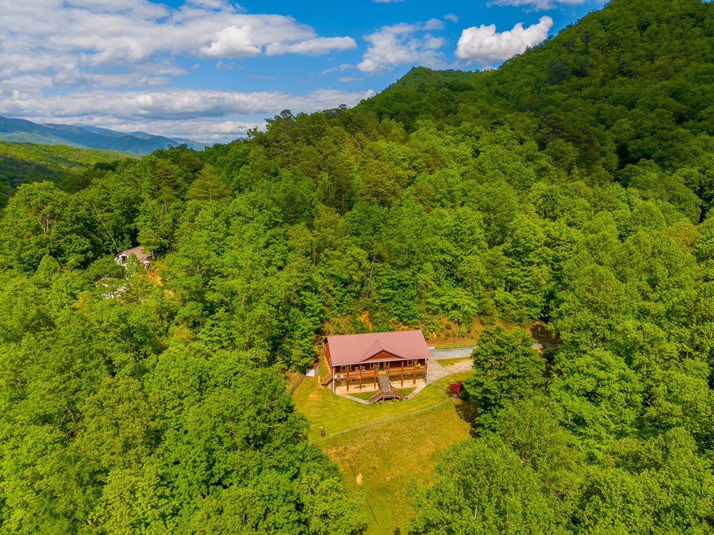 155 Mountain Laurel Road Property Photo 62