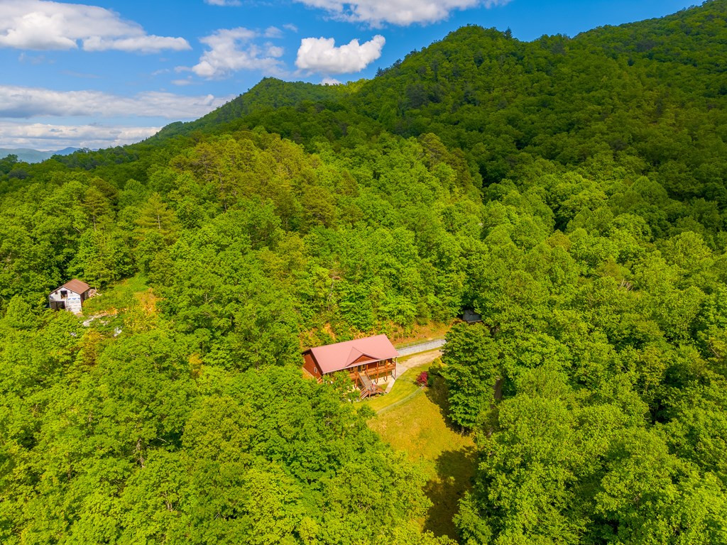 155 Mountain Laurel Road Property Photo 63