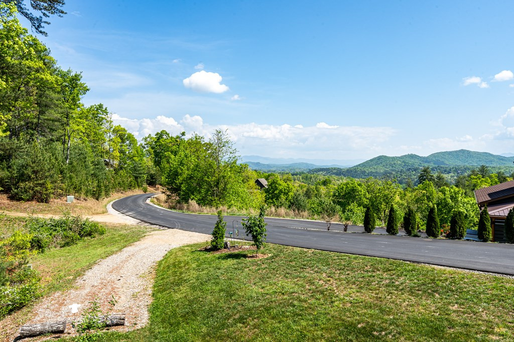 604 Point Overlook Trail Property Photo 43