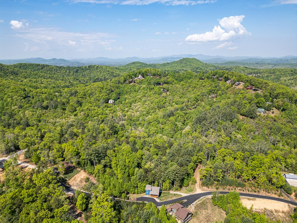 604 Point Overlook Trail Property Photo 48