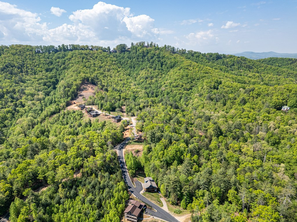 604 Point Overlook Trail Property Photo 49