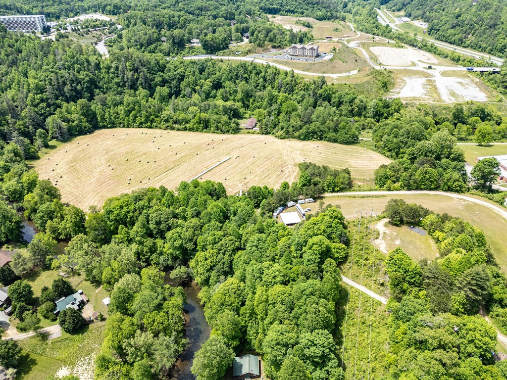3674 Us 19 Property Photo 10